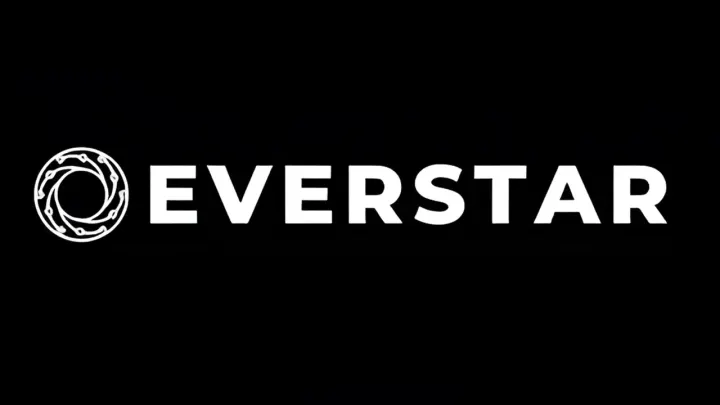 Everstar, Borusan Ventures'ın desteklediği yatırım turunda 5,5 milyon dolar fon sağladı.