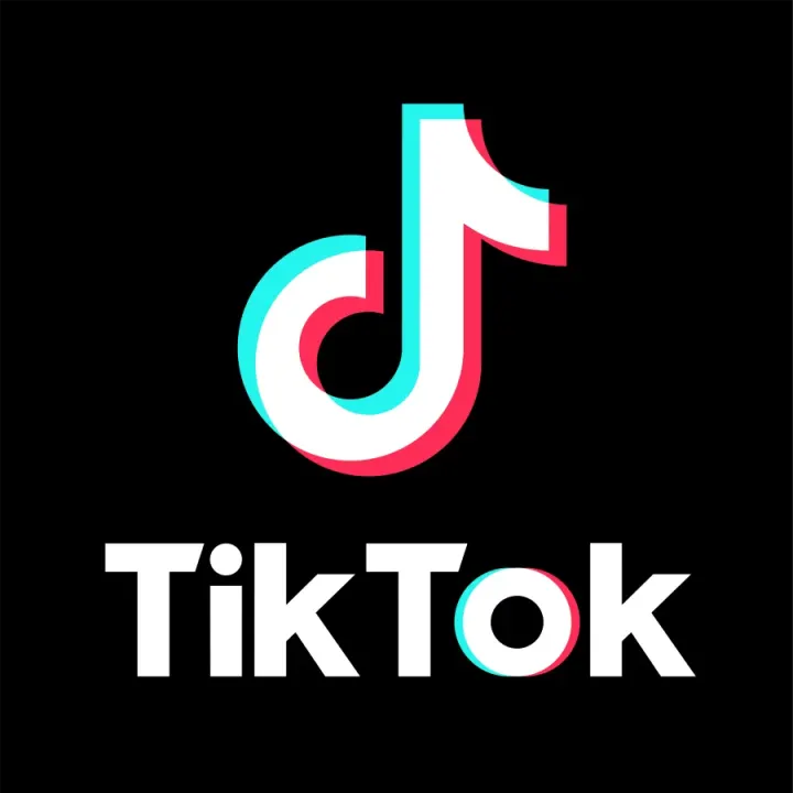 TikTok'ta Geçen Yıl Türkiye'de 16,5 Milyon İçerik Kaldırıldı